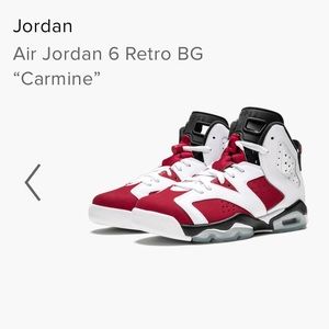 Air Jordan Carmine 6